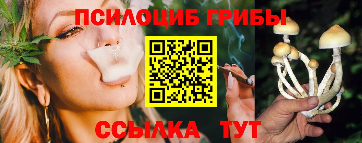 Галлюциногенные грибы Cubensis  Вход с VPN  Златоуст  Псилоцибиновые грибы Psilocybe 